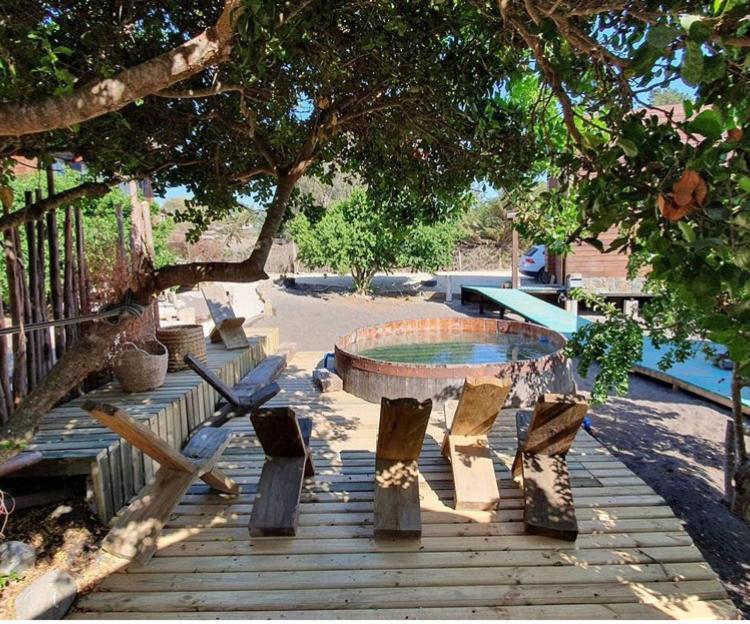 Bed and Breakfast Palo Santo Pichilemu Zewnętrze zdjęcie