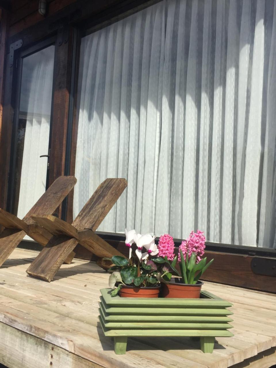 Bed and Breakfast Palo Santo Pichilemu Zewnętrze zdjęcie
