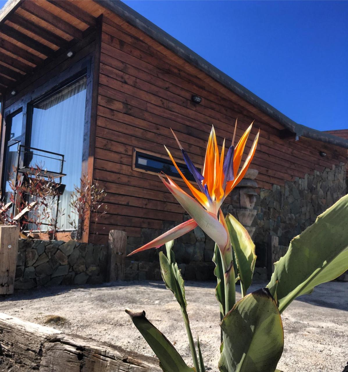 Bed and Breakfast Palo Santo Pichilemu Zewnętrze zdjęcie